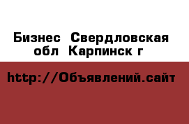  Бизнес. Свердловская обл.,Карпинск г.